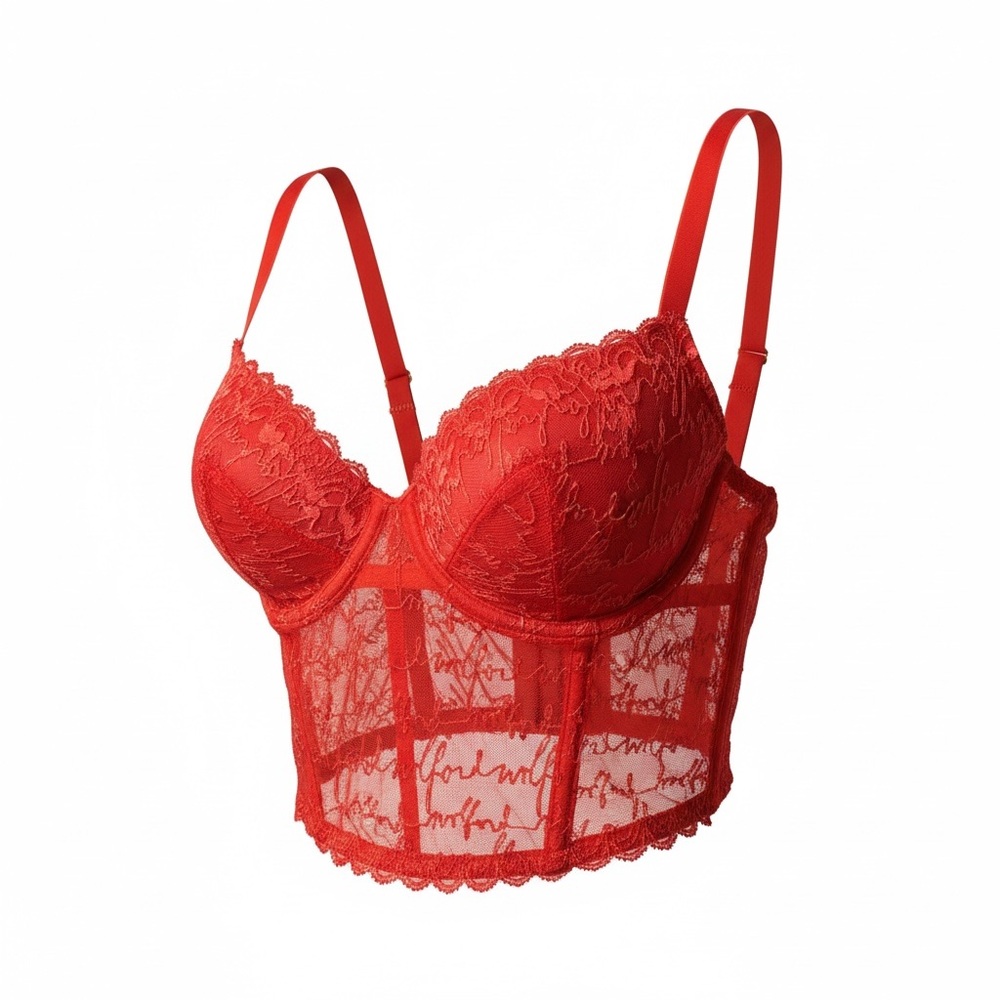 Wolford Red Lace Longline Bra 38D Sheer Underwire Corset Bustier NWOT